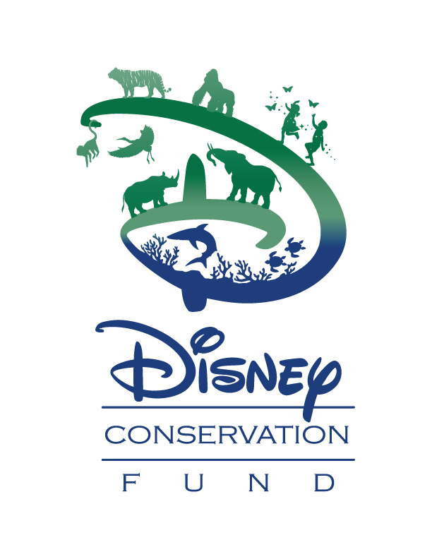 Disney Conservation Fund logo - ANGARI Foundation