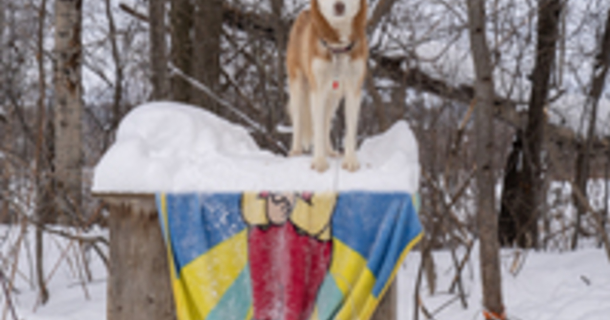 Delivering dog houses in Northern Canada