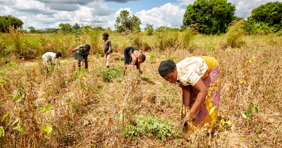 Advancing Climate-Smart Agriculture in Malawi-Zambia TFCA