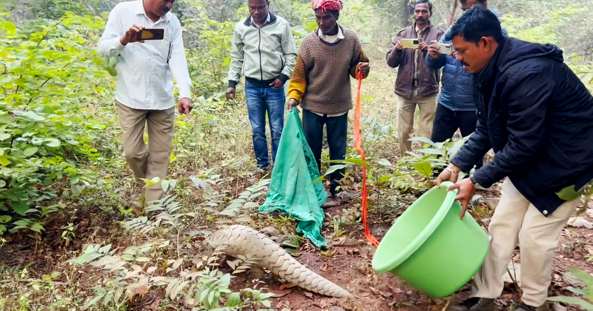Hoe blijf je smokkelaars van wilde dieren een stap voor?
