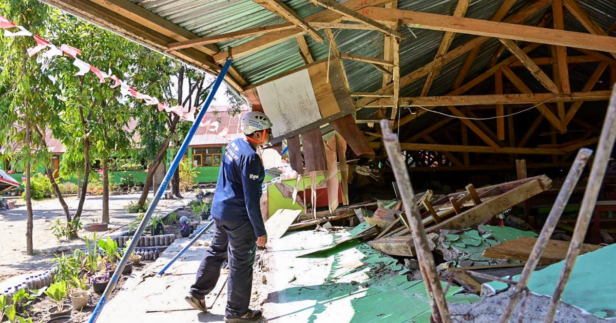 IFAW helpt wilde dieren getroffen door natuurbranden in Indonesië