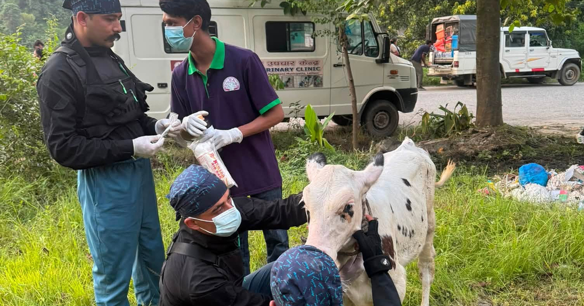 Rescue and relief efforts continue in Nepal as communities remain