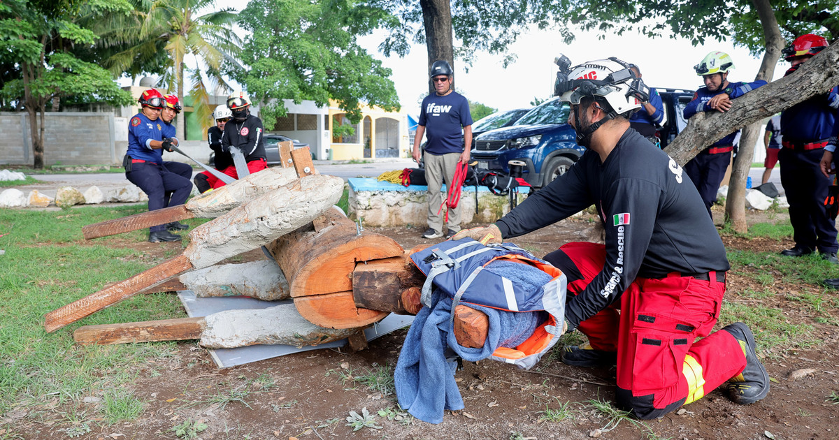Preparing Mexico’s animal rescuers for the next disaster