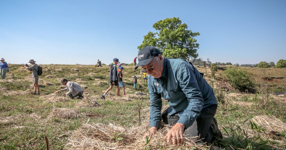 Planting the seeds of recovery in the aftermath of the Australia bushfires