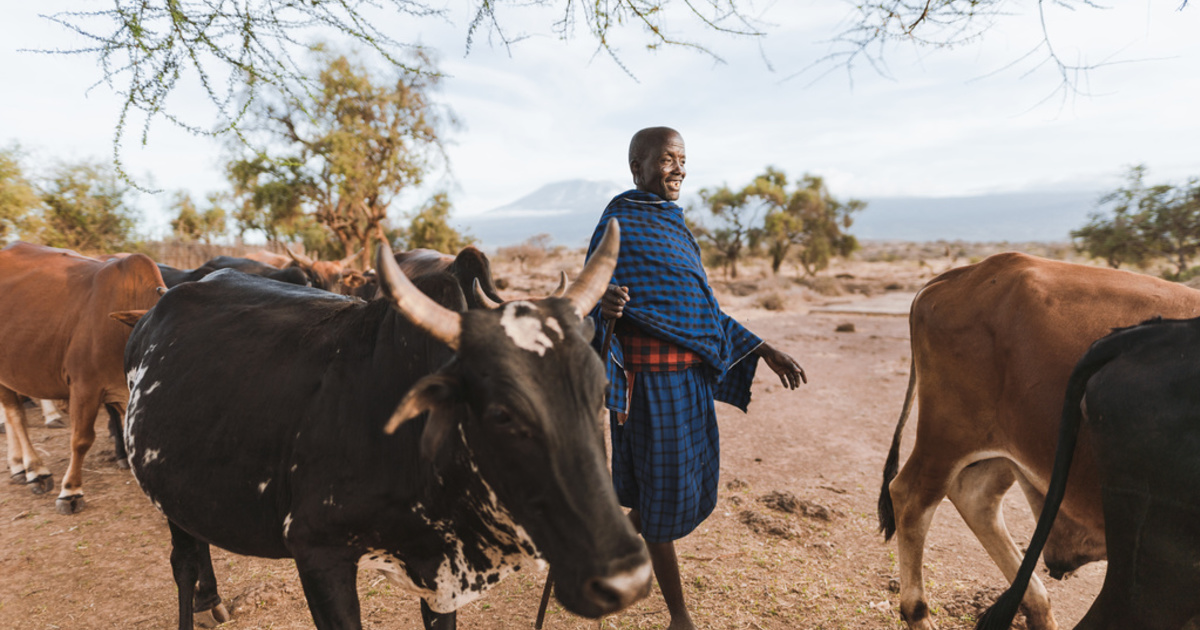 we need animals to survive but first, we need to include them