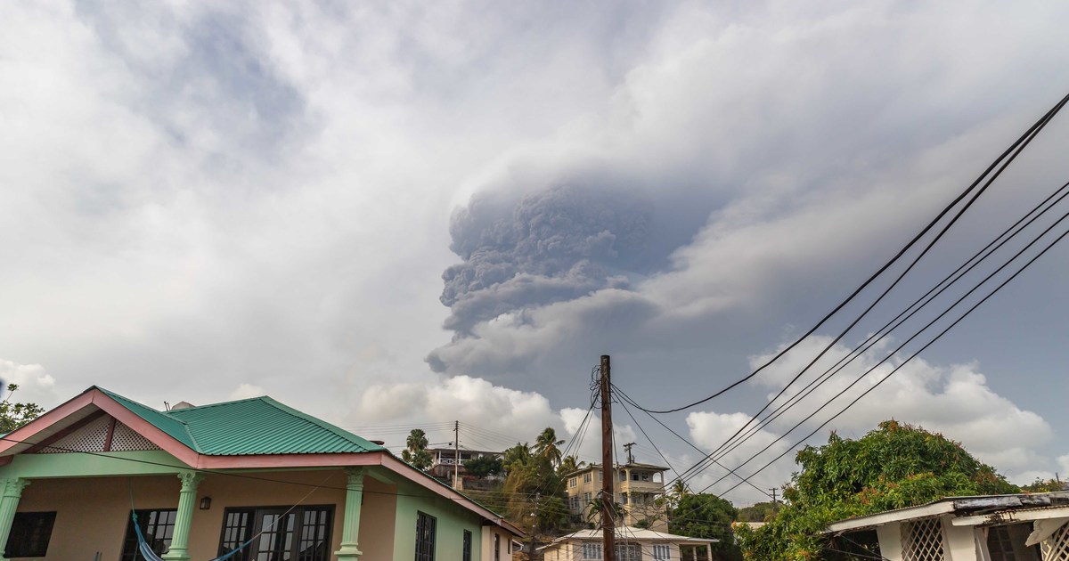 ifaw supports animals impacted by St. Vincent volcano