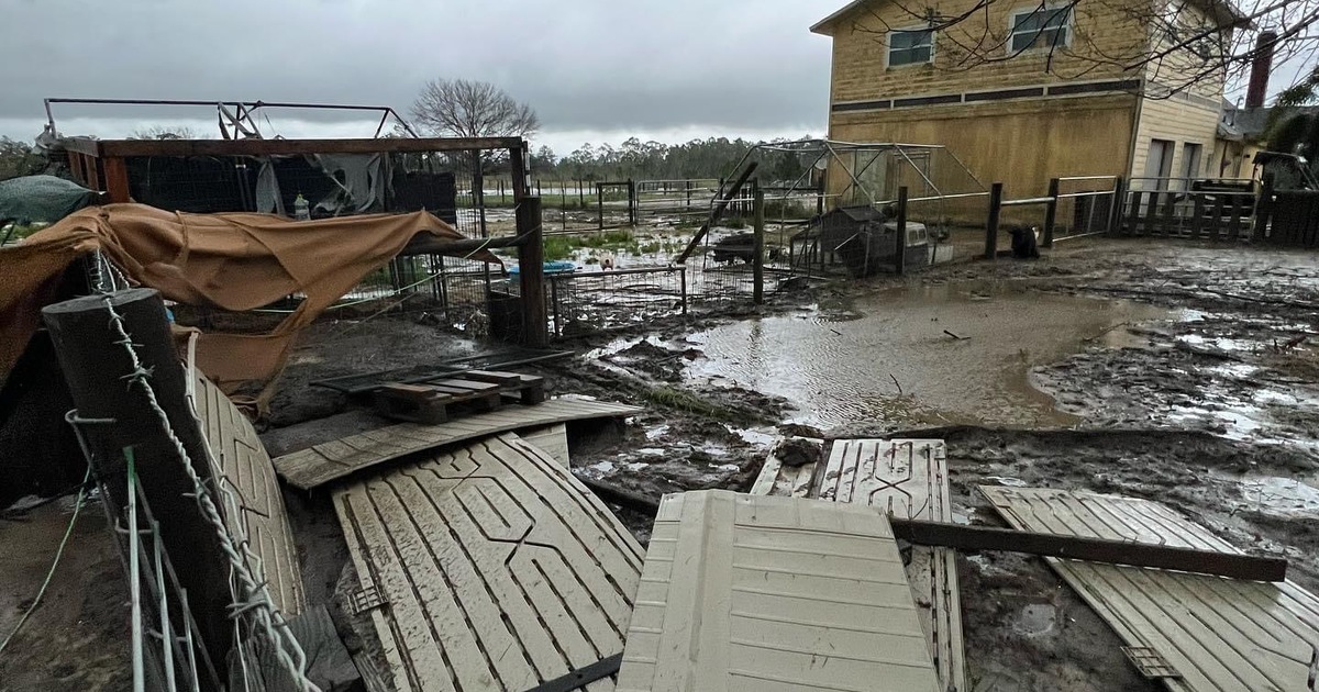 ifaw helps animal shelters impacted by Hurricane Ian | IFAW