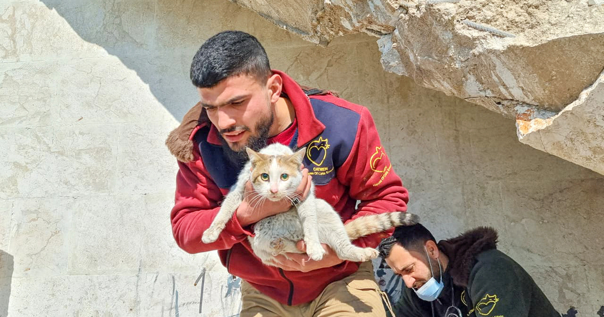 IFAW helps animals in need in the aftermath of Turkey-Syria earth