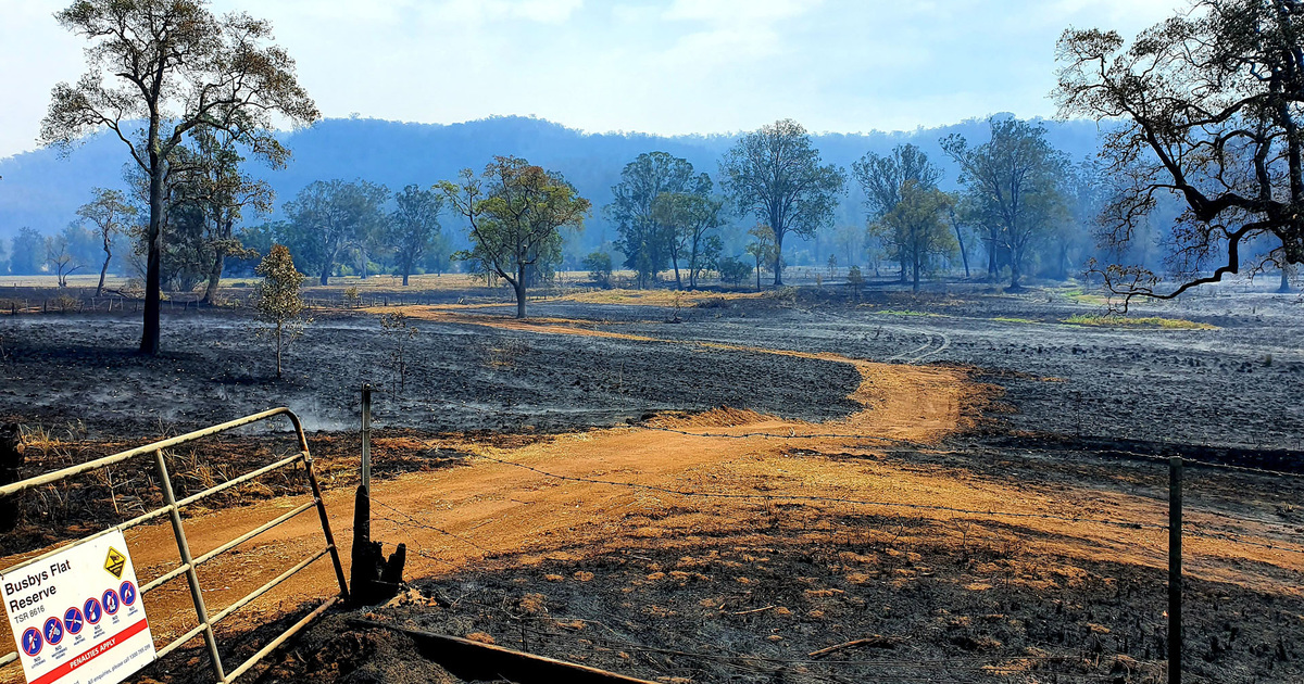 Bushfire recovery reconnects habitat, helps endangered species