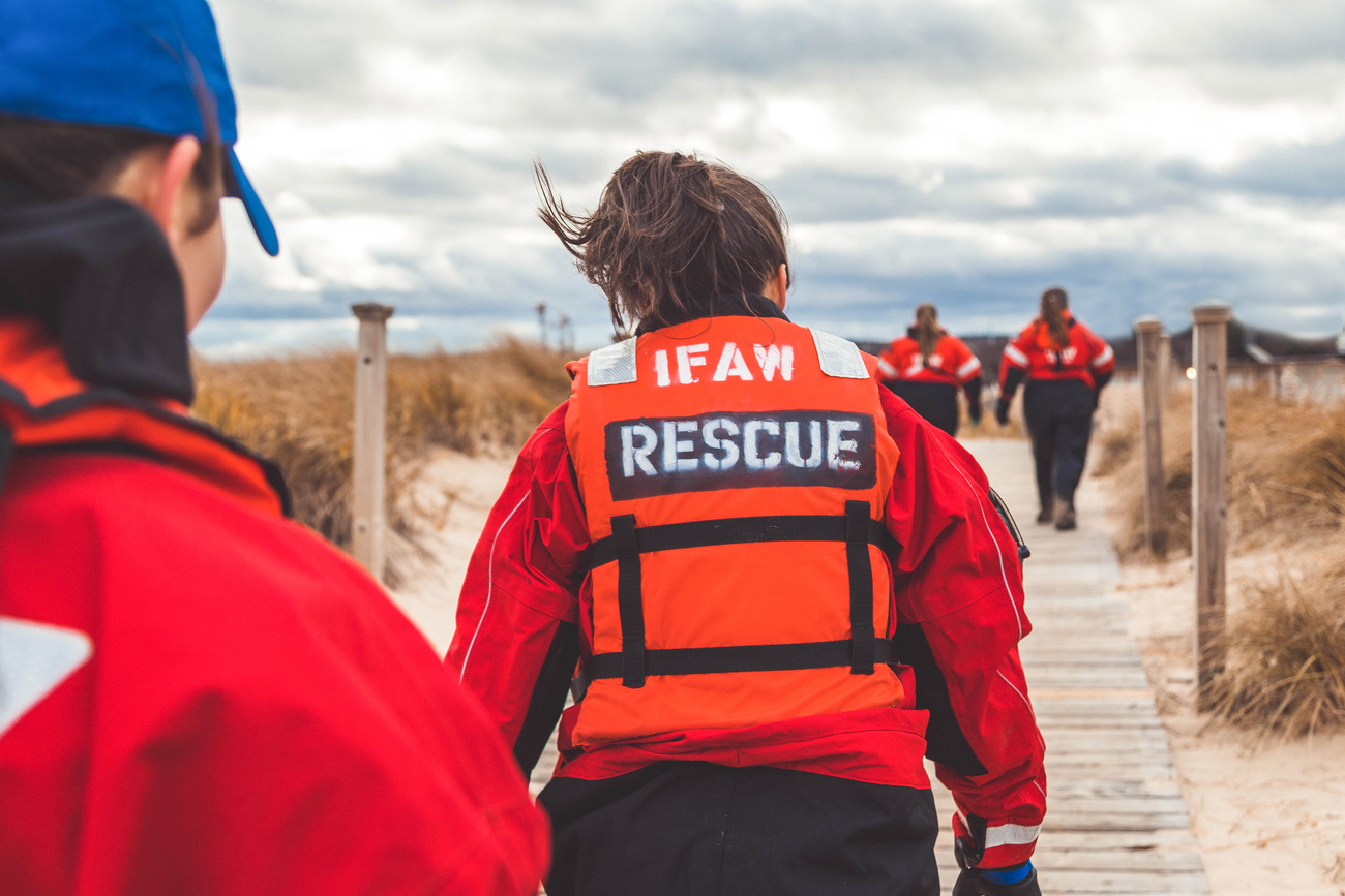 What Happens When a Stranded Dolphin Gets a Second Chance?