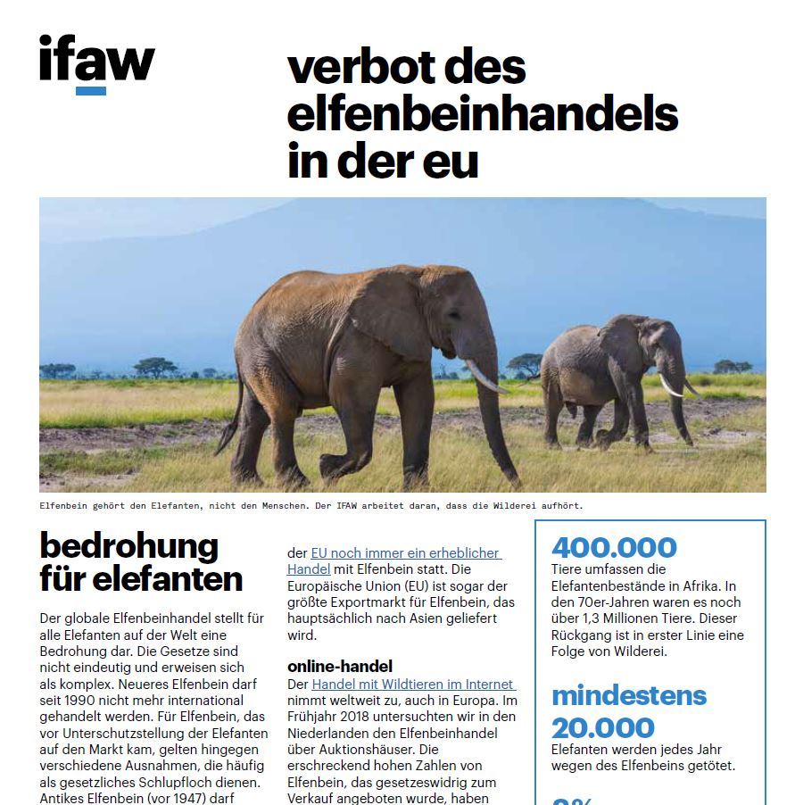 Factsheet zur aktuellen Lage des Elfenbeinhandels in der EU.