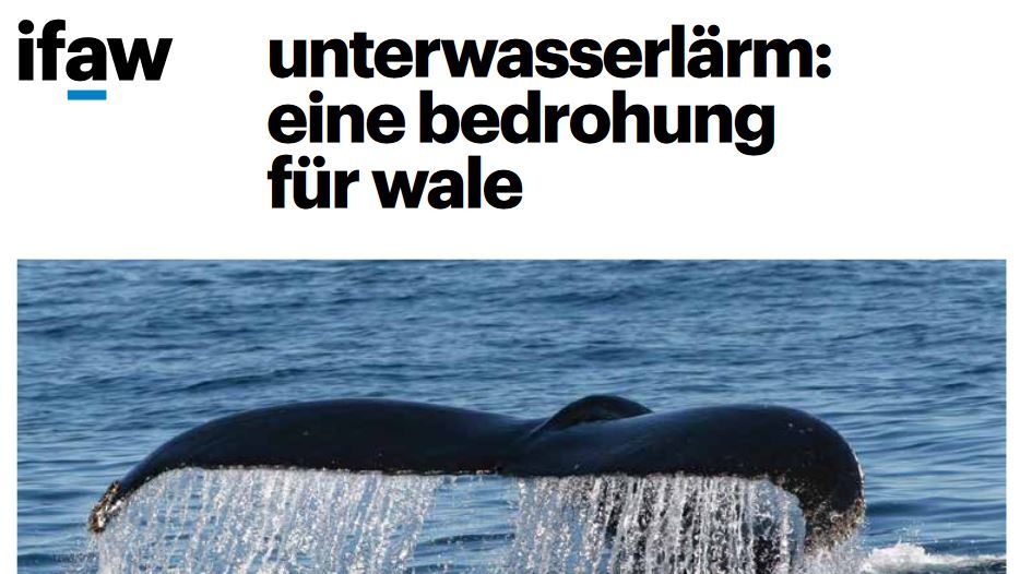 Factsheet über die Bedrohung des menschengemachten Unterwasserlärms.
