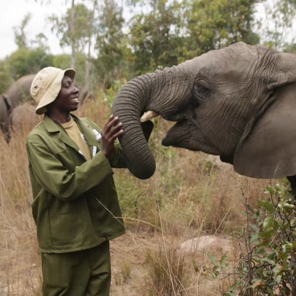 Pour une cohabitation harmonieuse entre les animaux et les humains.