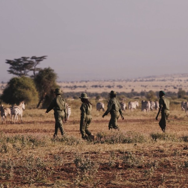 In a changing world, our mission to help animals and people remains the same