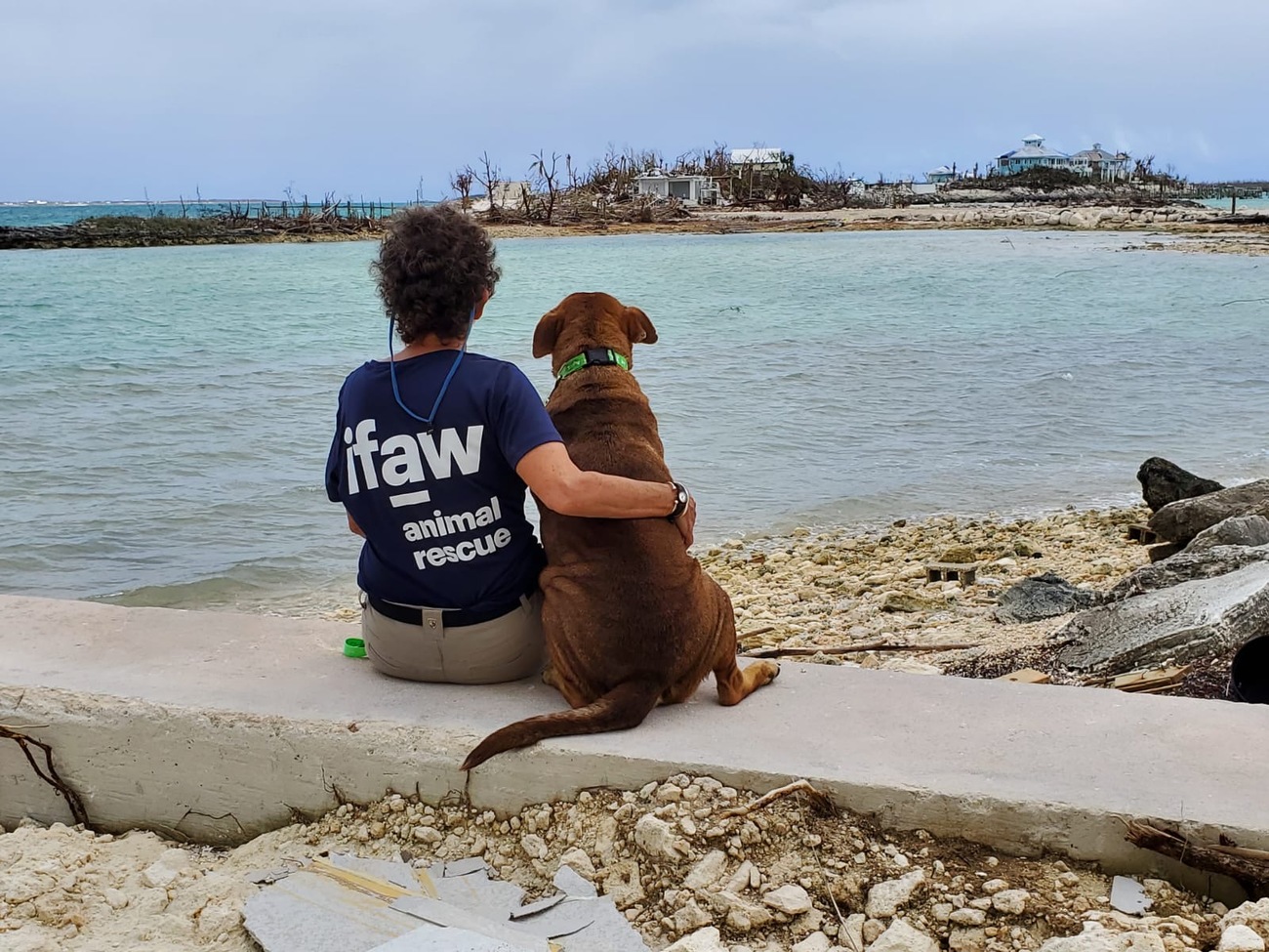 Rescuer with dog