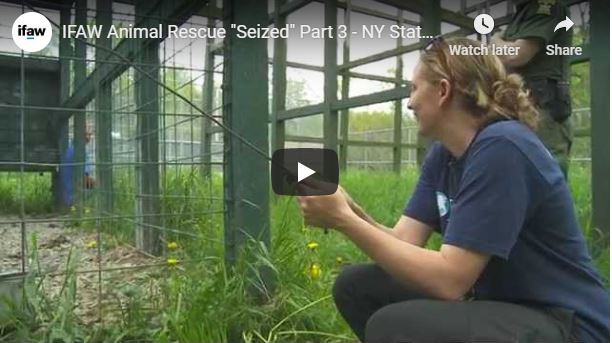 Episode 3: Get a sense of the skill and expertise required to move lions, tigers, bears and a range of other animals from this former animal facility.