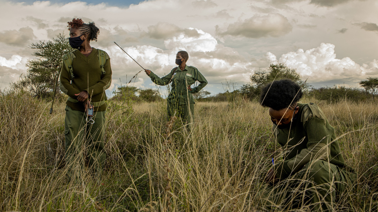 rangers on patrol