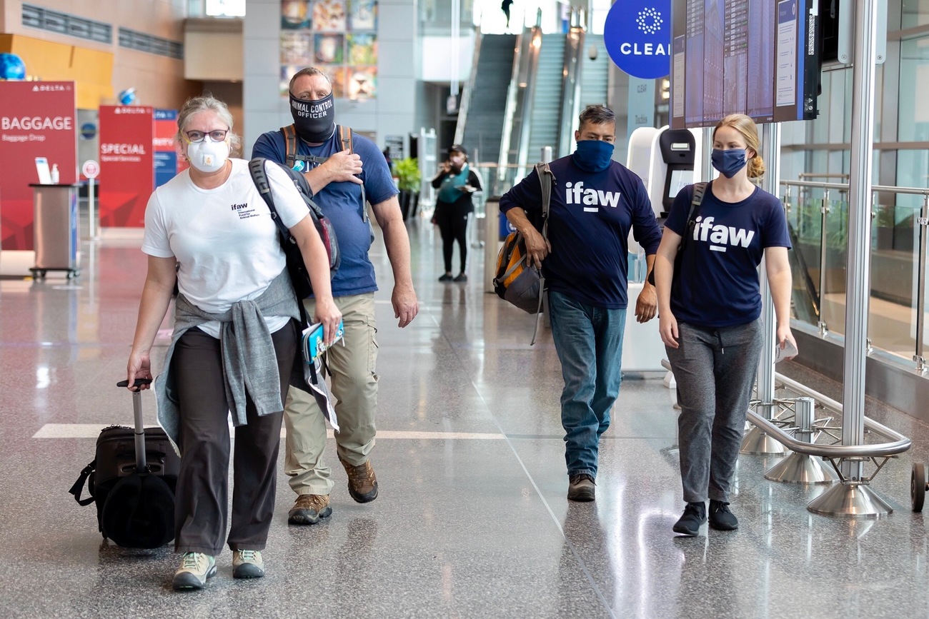 IFAW's disaster response team walks through the airport as they deploy to California to help rescue animals impacted by the North Complex Fire.