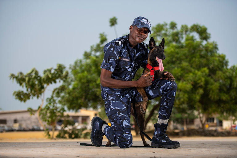 Dutch detection dogs Bruce and Boris help save jaguars