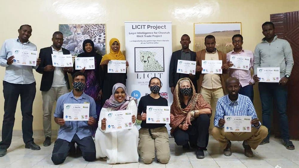 Veterinarians pose with their training certifications