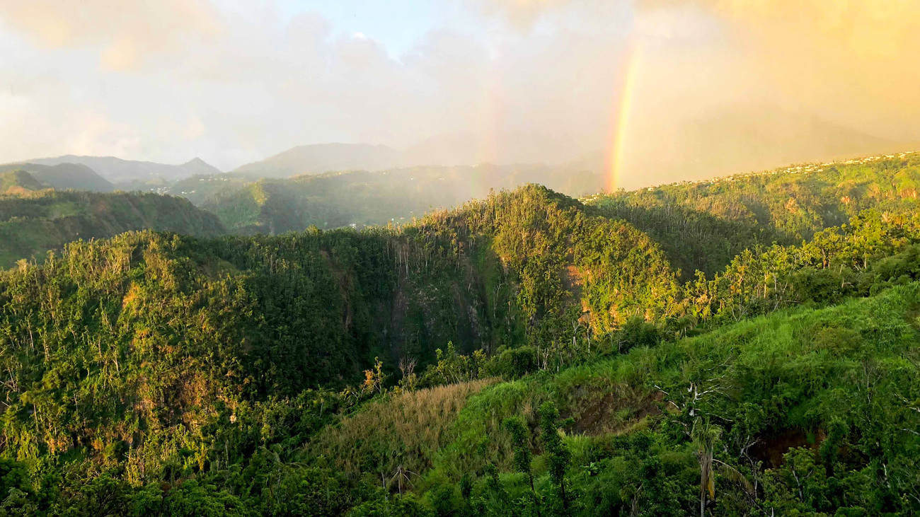 beboste bergen en valleien in Dominica met een regenboog in de lucht