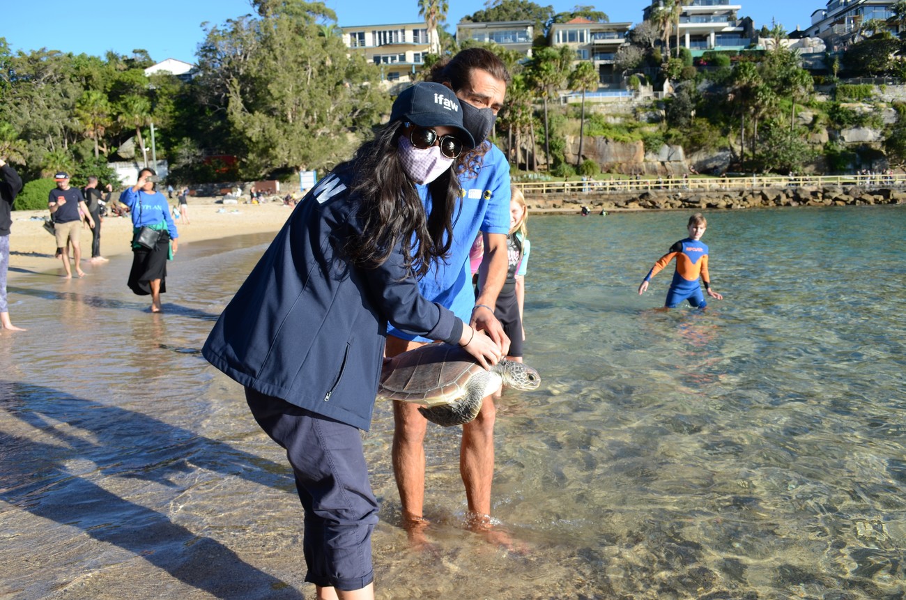 Nicole Marine with ASRCC volunteer and Nellie the sea turtle