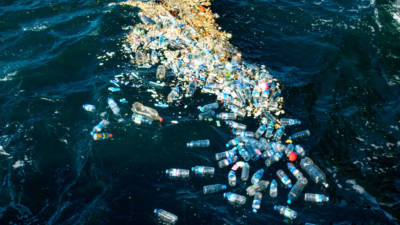 An accumulation of plastic bottles and other plastic pollution float on the ocean's surface.