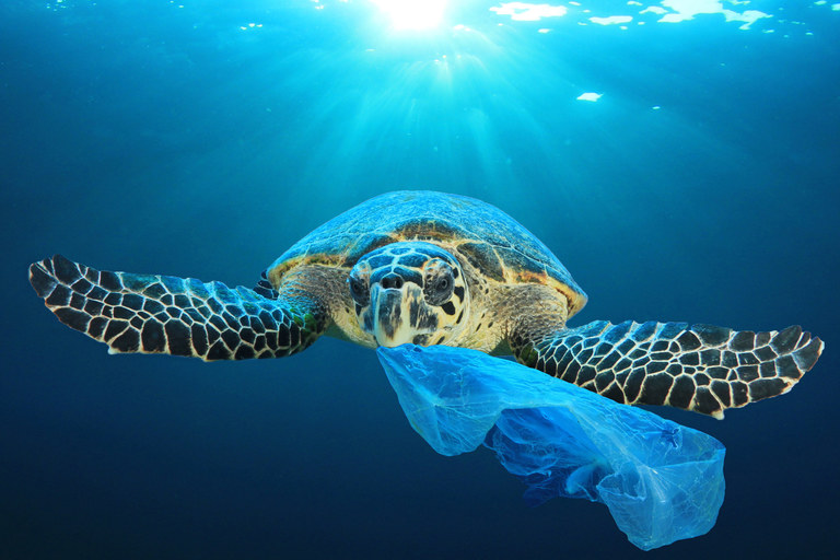 how does plastic get into the ocean?