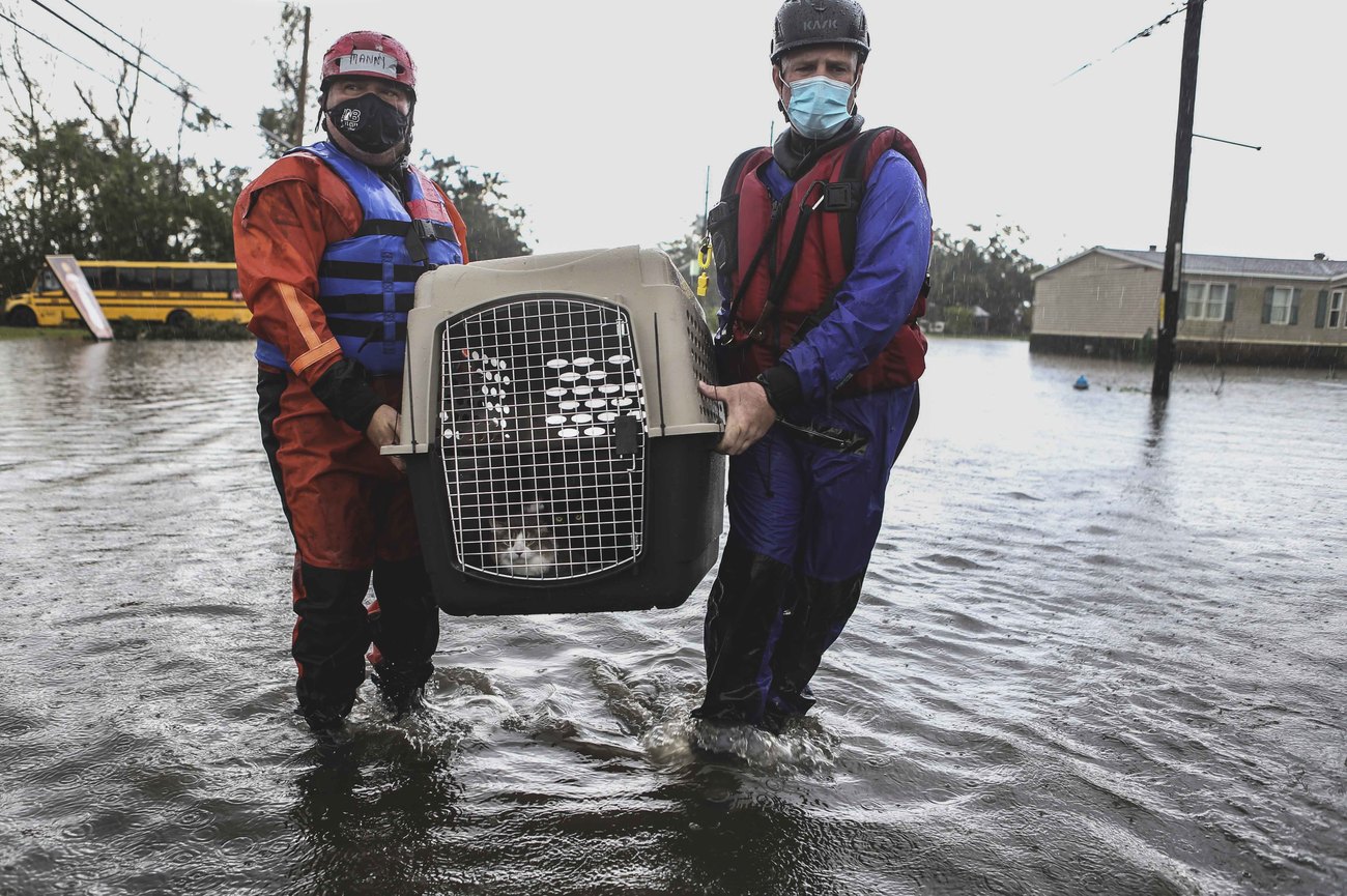 Rescuing animals in the wake of Hurricane Ida