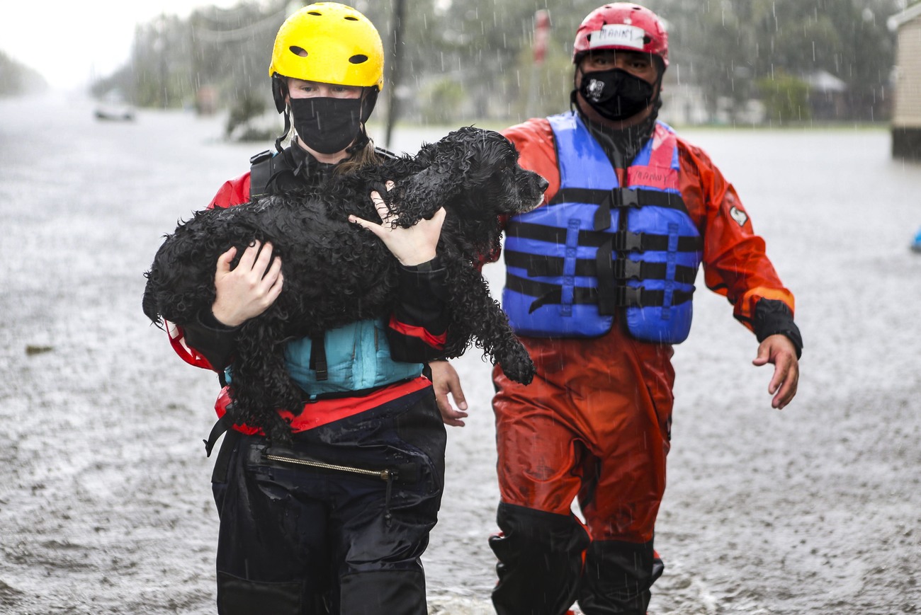 IFAW-hulpverlener Jen Gardner draagt een hond genaamd CiCi in Lafitte, Louisiana, na orkaan Ida