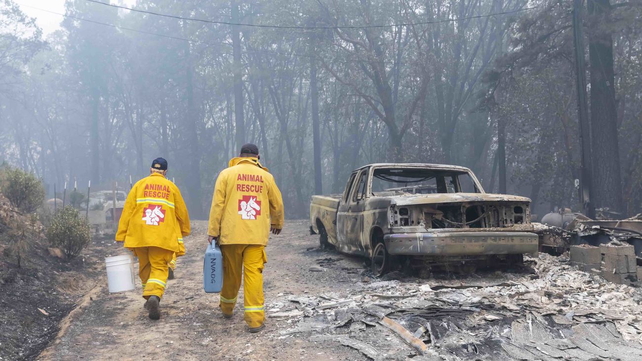 disaster responders deploy to help rescue animals who survived the North Complex wildfire in California