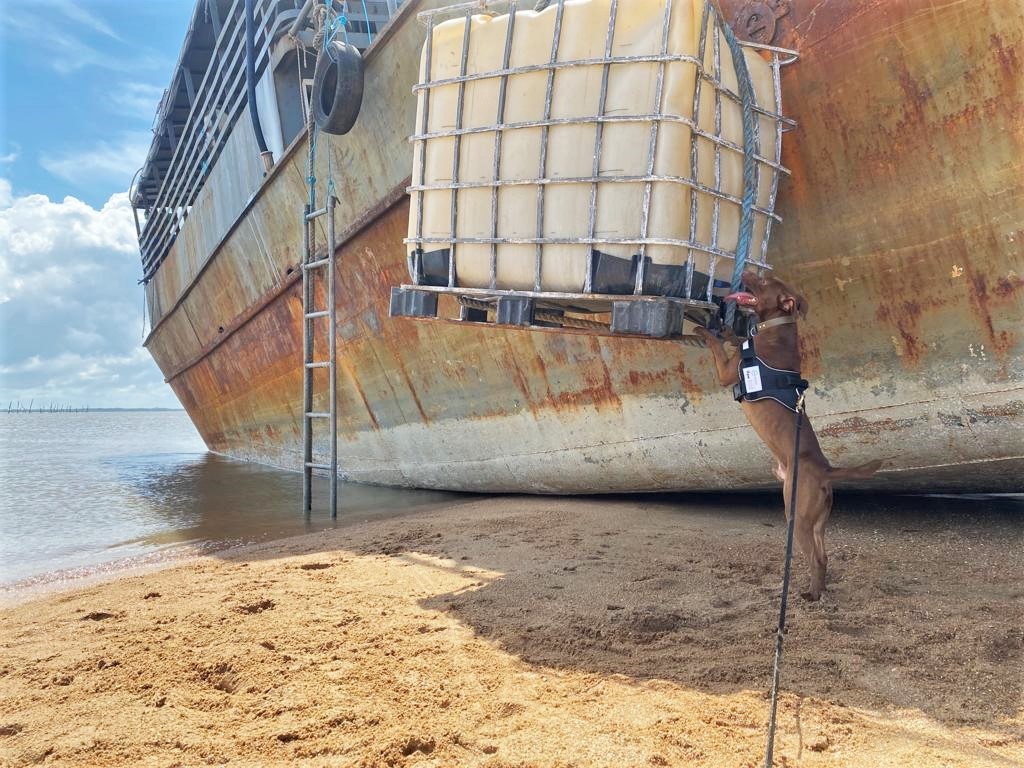 Speurhond Boris onderzoekt een schip