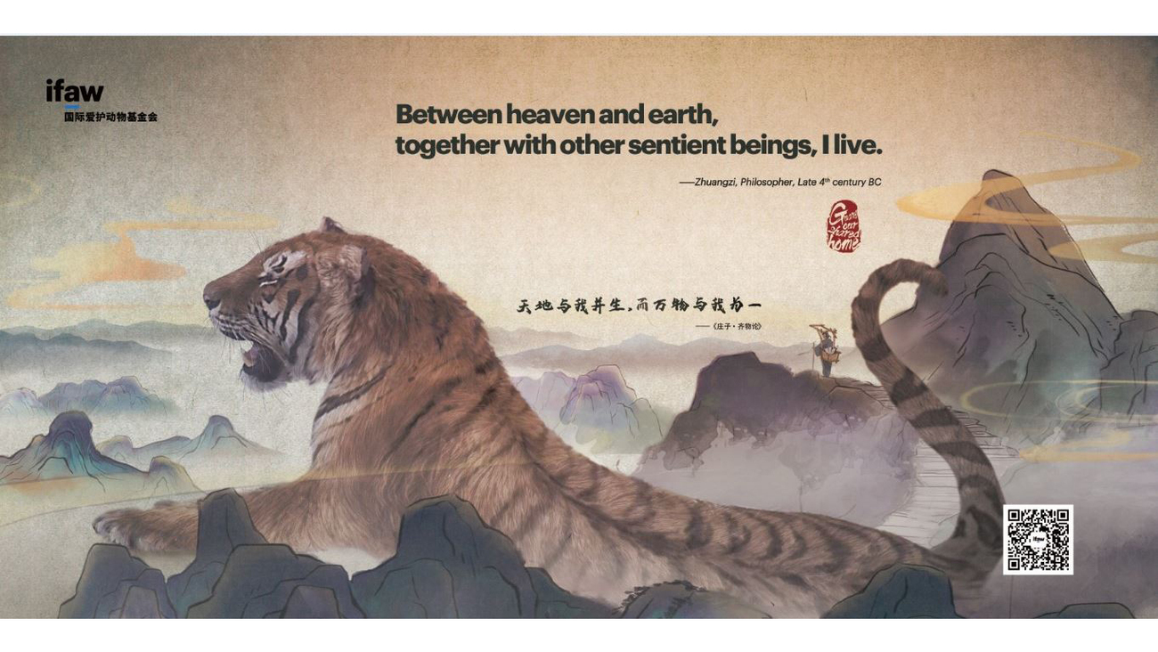 Een Engelse versie van IFAW China’s ‘Guard Our Shared Home’ postercampagne met een Siberische tijger.