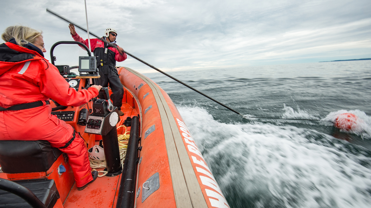 rescuers detangling a North Atlantic right whale