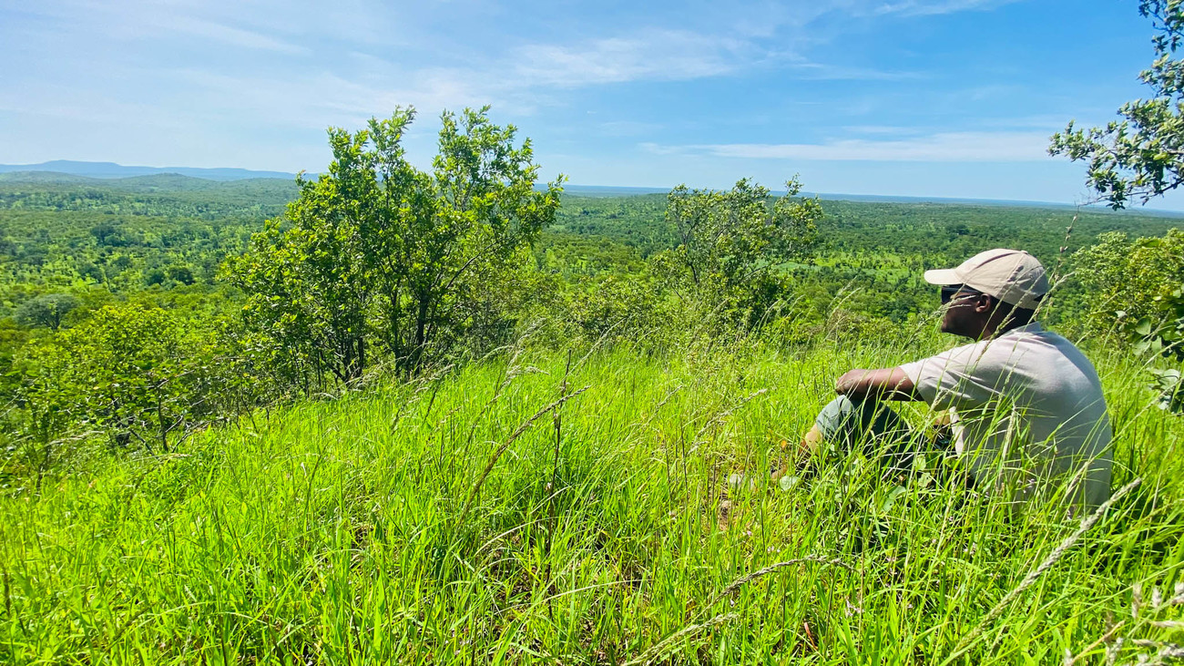  IFAW Program Officer Nelson Mhlanga sits on a hill surveying Matetsi Unit 5, part of the Hwange-Matetsi-Zambezi landscape in Northwest Zimbabwe.