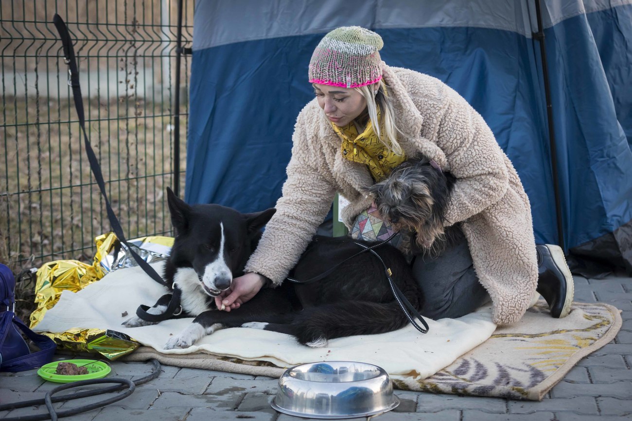 De Oekraïense vluchtelinge Natalya wordt gefotografeerd met haar twee honden bij de grensovergang in Medyka, Polen. 