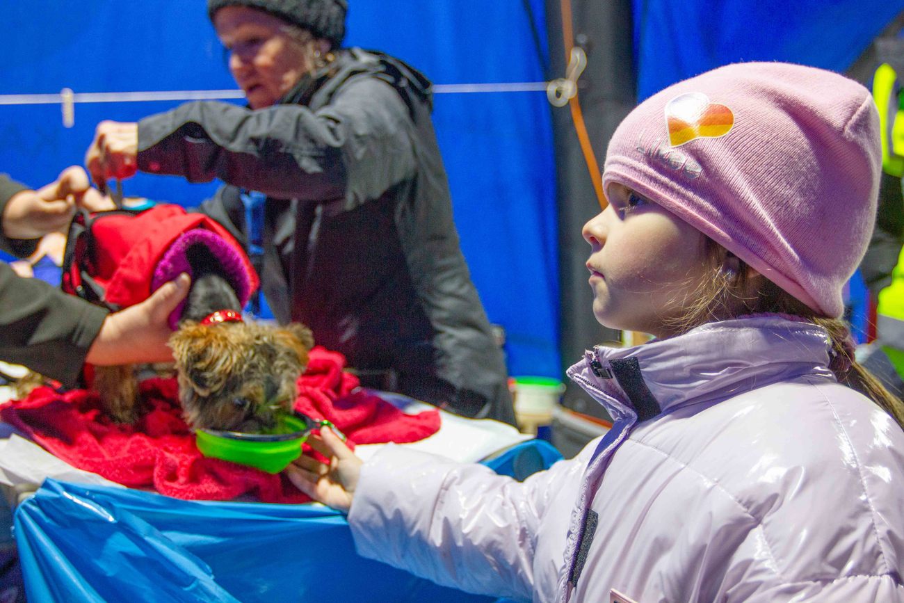 Der Hund Happy, der der ukrainischen Anna und ihrer Tochter gehört, wird an der ukrainisch-polnischen Grenze in Medyka, Polen, versorgt.