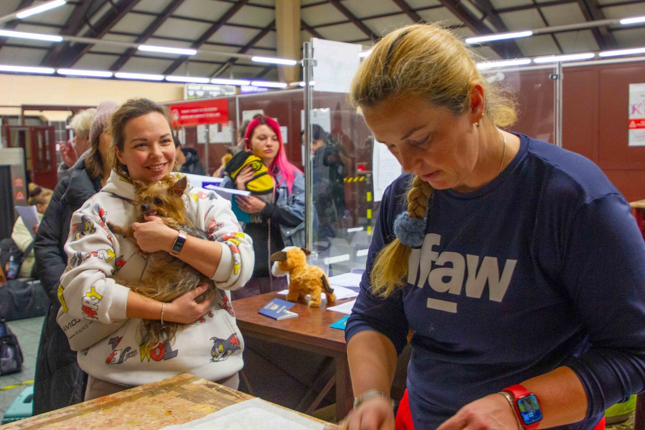 De door IFAW gesponsorde Oekraïense dierenarts Veronika Herasymenko helpt de kleine hond van een Oekraïense vluchteling bij de dierenartsenpost in het treinstation van Przemyśl, Polen.