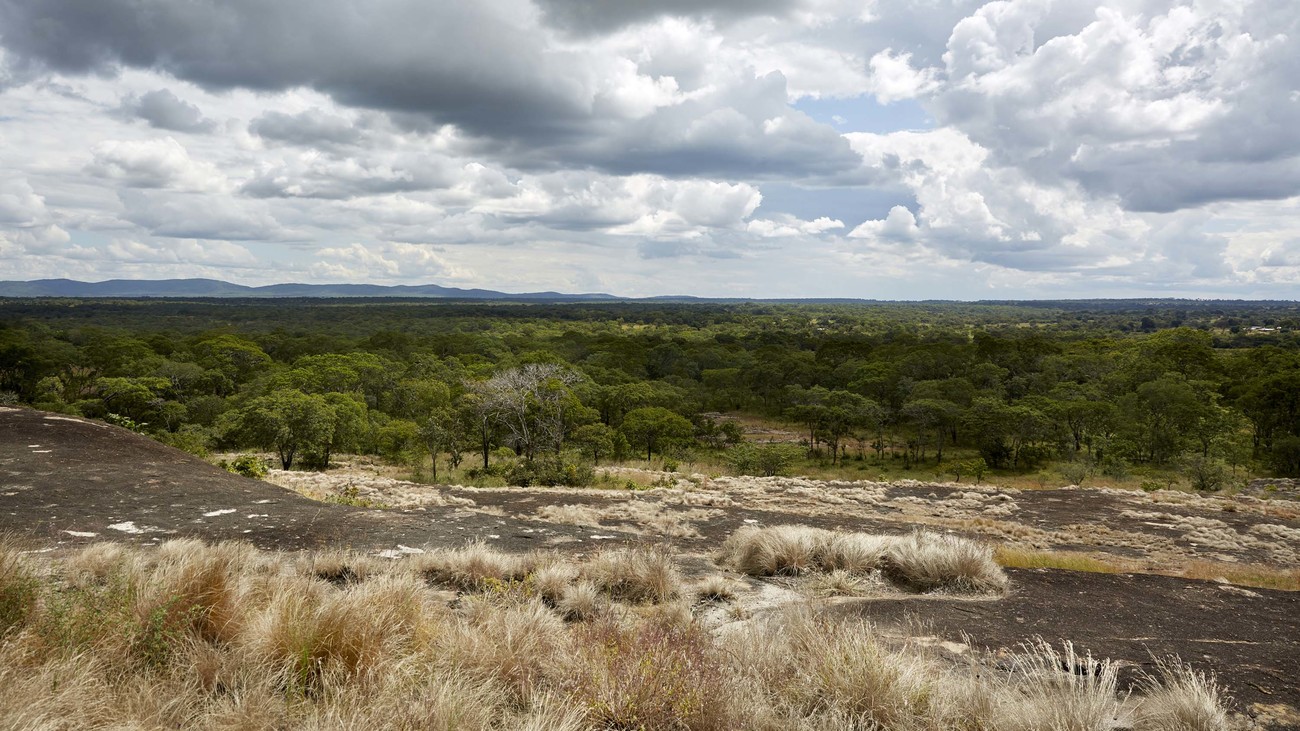 farm in Zambia