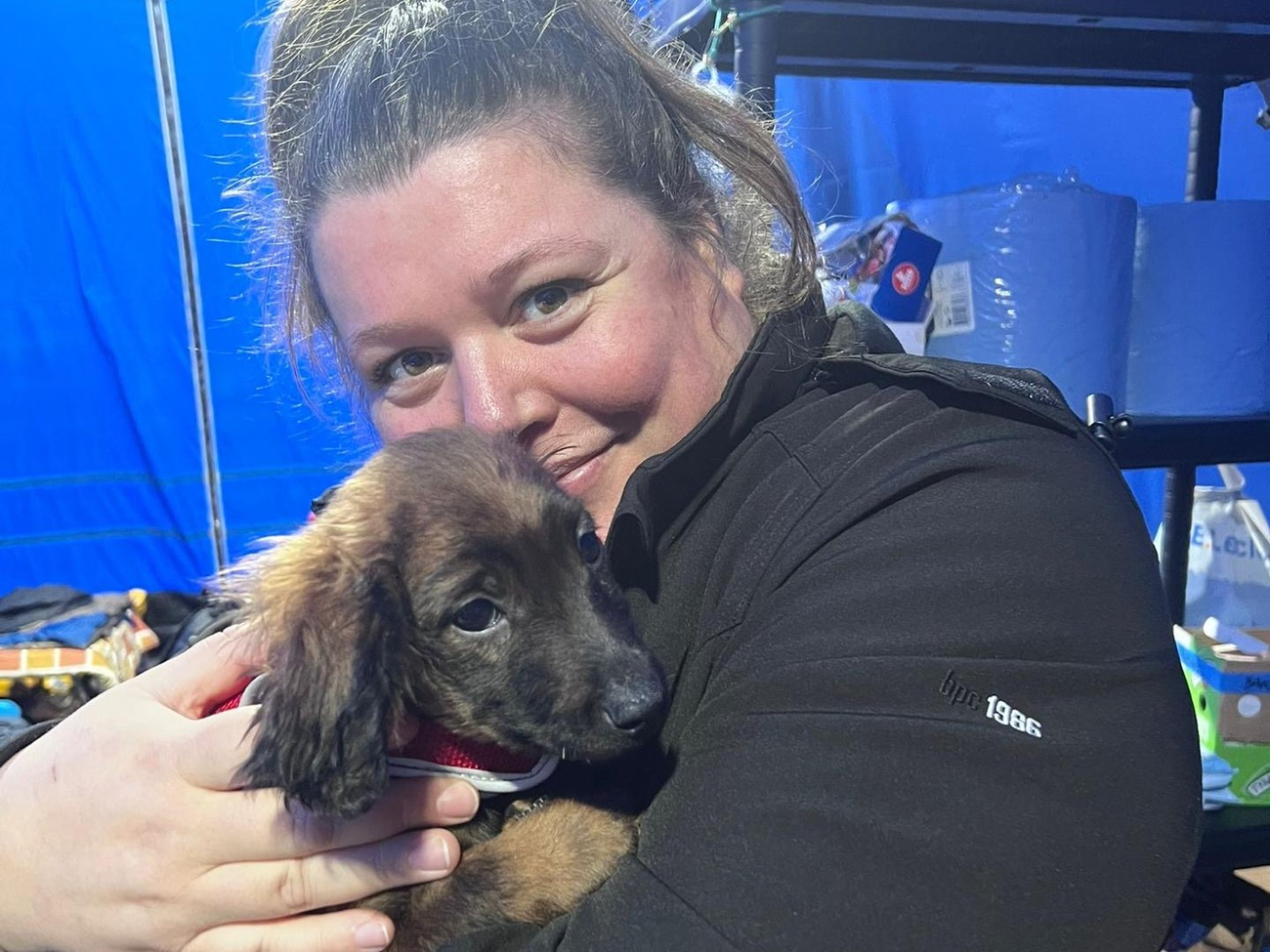 Annelyn Close houdt in de blauwe tent een puppy vast om hem te kalmeren terwijl de dierenarts een gezondheidscheck doet bij haar broertje en zusje.