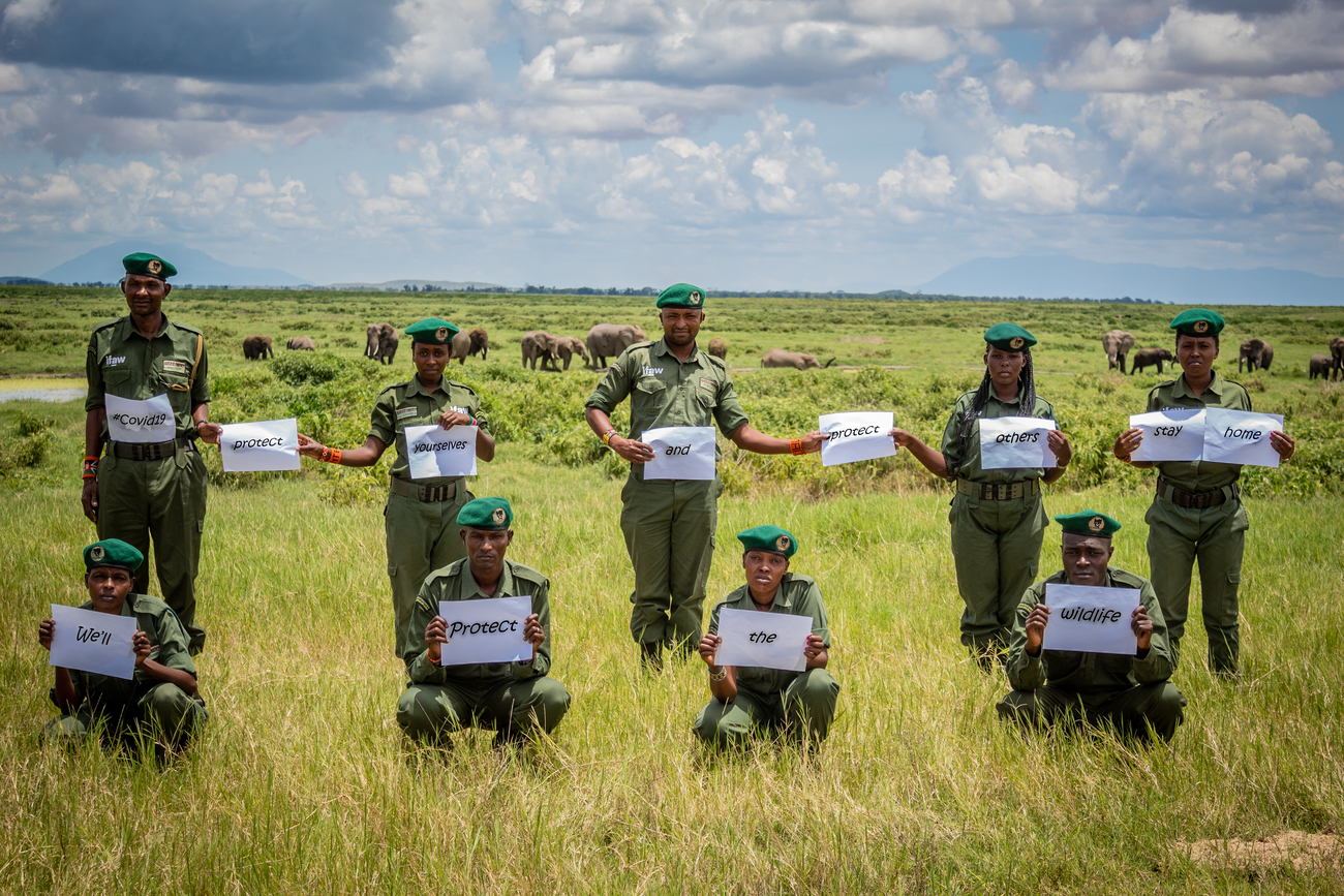 En avril 2020, au milieu de pandémie de COVID-19, les écogardes locaux d’Olgulului (OCWR) au Kenya, soutenus par IFAW, partagent un message positif pour que chacun  se protège et protège les autres, tout en protégeant la faune sauvage.