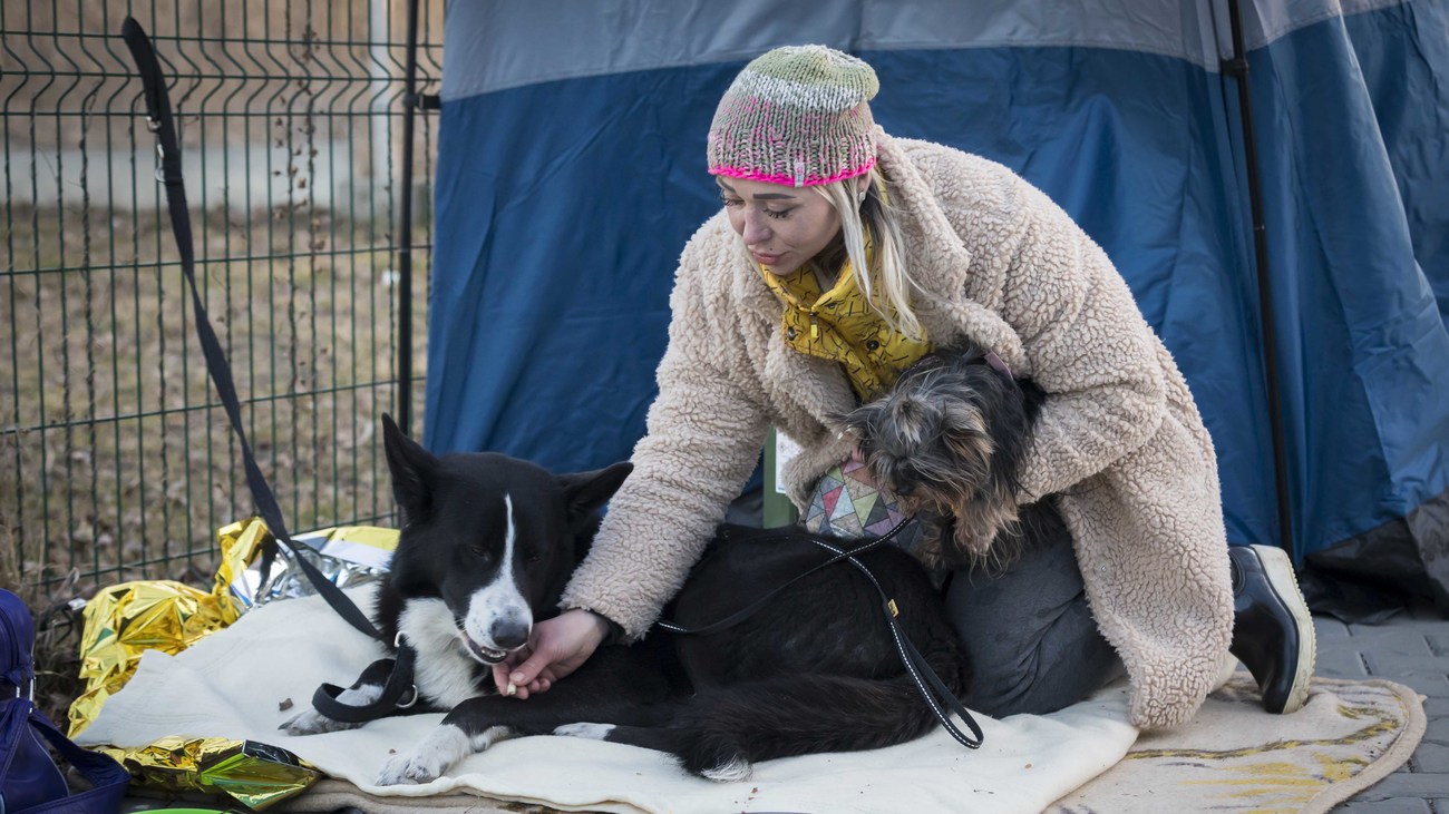 Ukrainian woman sits with her two dogs outside of a tent