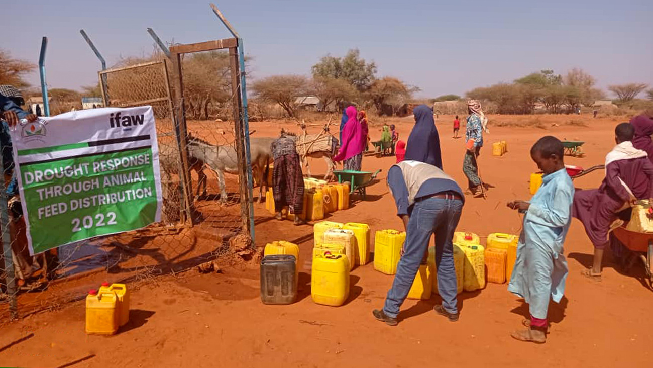 IFAW responders providing barrels of emergency water during drought response in Somaliland.