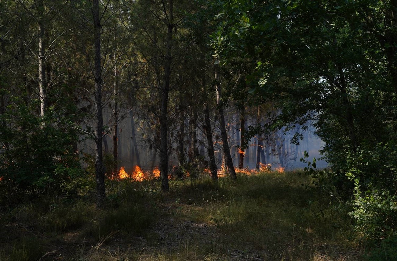 Fire moves through a forest floor in Gironde, France in July 2022. 