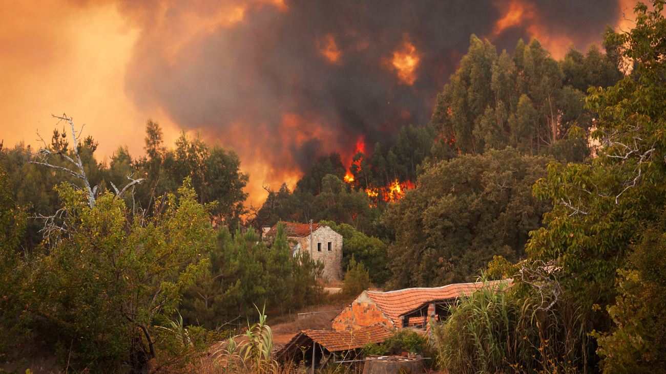 Feu de forêt près de maisons au Portugal.