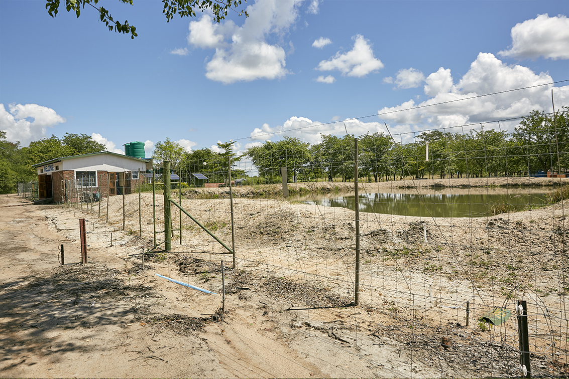 The boundary fence that separates Liwonde National Park from the Chikolongo Livelihood Project, Chikolongo Livelihoods Project, Malawi.