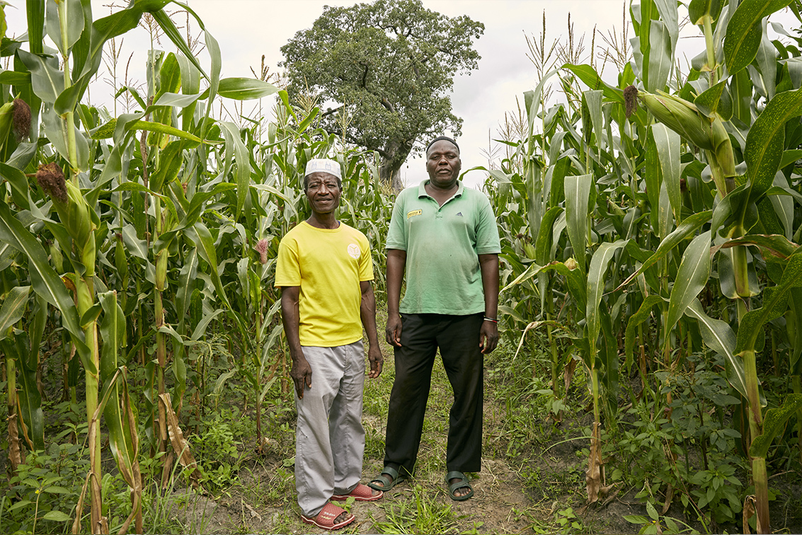 Chief William (left) and Chief Mwamadi (right), two of the three traditional leaders of Chikolongo's extended community area, stand in a corn field, Chikolongo Livelihood Project, Chikolongo, Malawi.