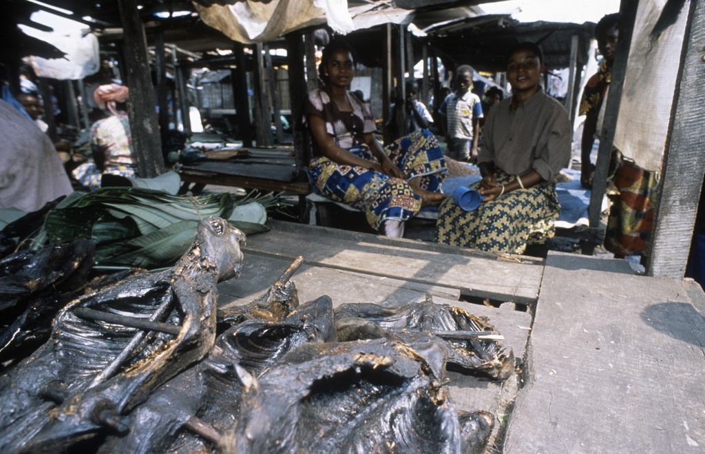 Een man en een vrouw zitten op een bushmeat-markt in Kisangani, Congo (DRC).