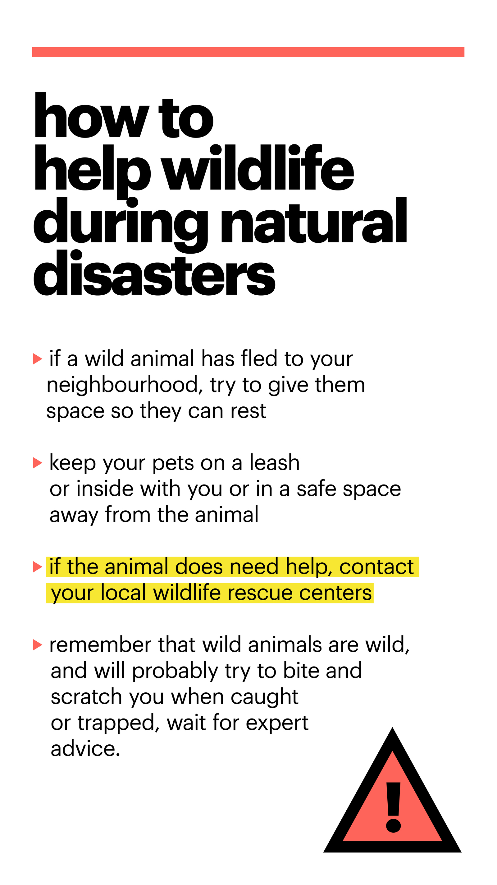 how to help wildlife during natural disasters