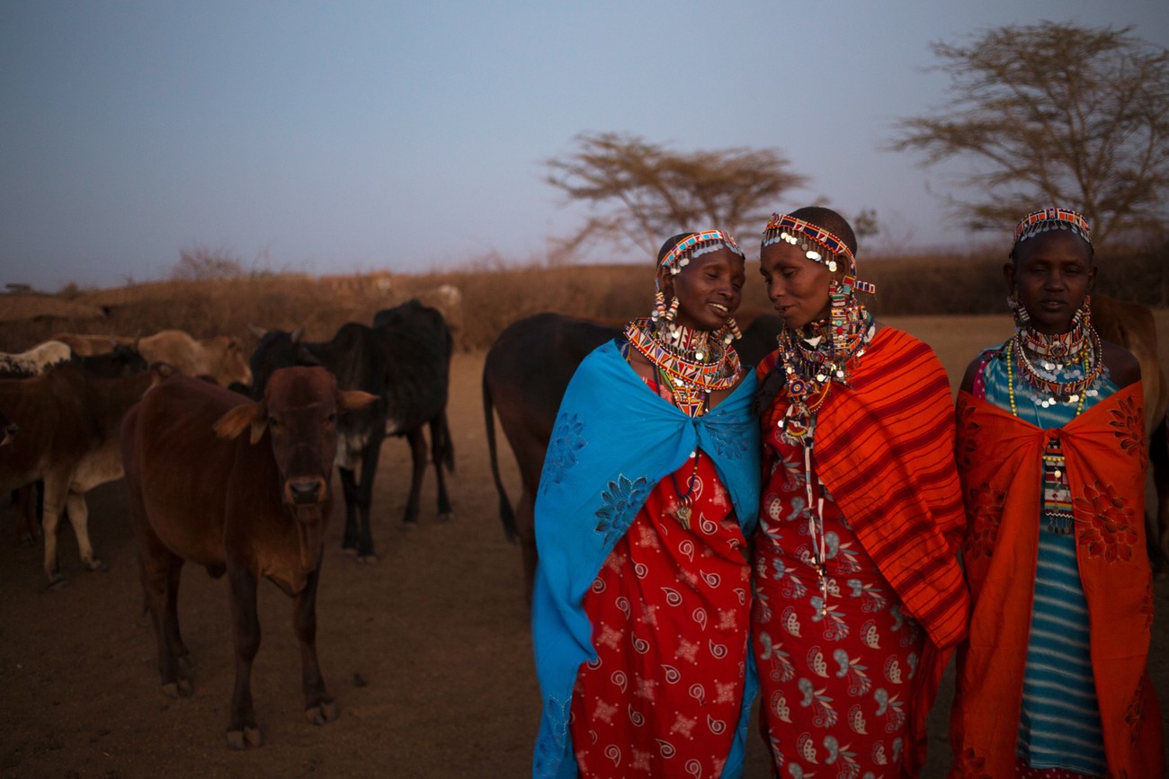 Masai vrouwen met hun vee op de achtergrond